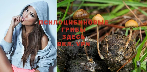 каннабис Аркадак